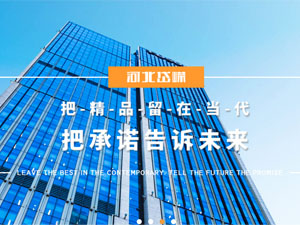 河北岱嶸建設(shè)有限公司，與我公司簽署網(wǎng)站建設(shè)合同